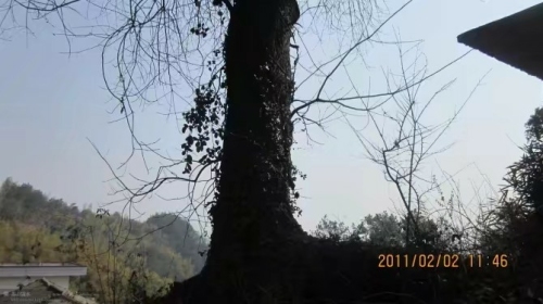 承旧岭旅行图片 3