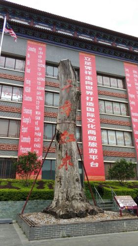 红木文博城旅行图片 3