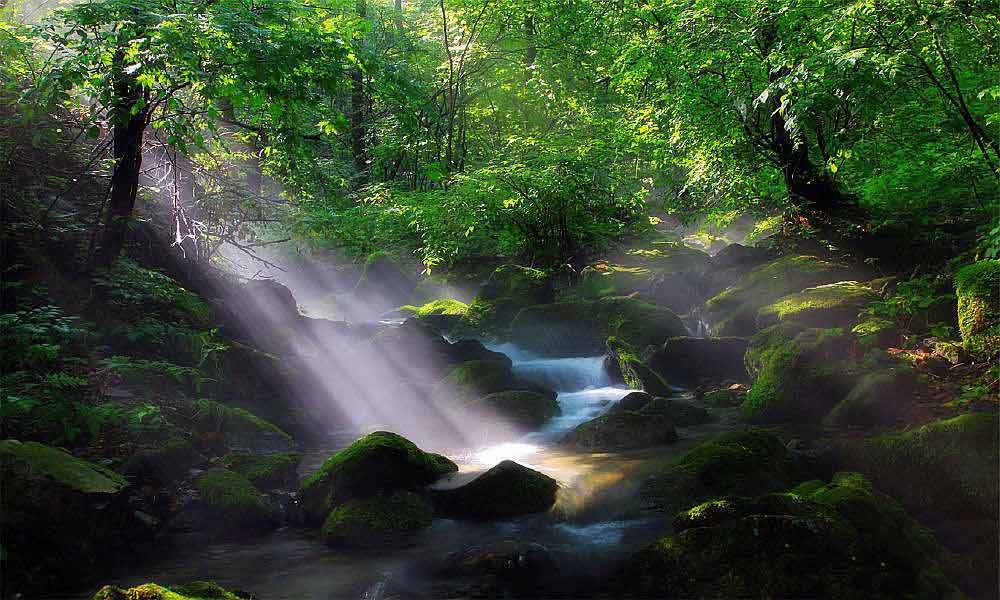 关门山国家森林公园景点图片