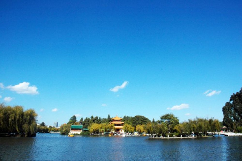 大观公园景点图片