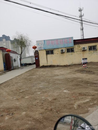伊利雪糕批发