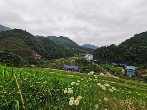 茴香小镇旅行图片 3