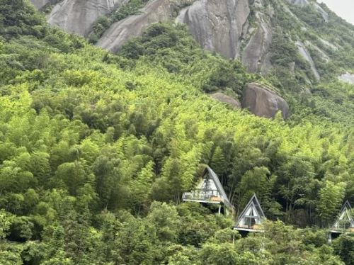 里山森谷旅行图片 1