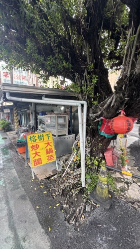 榕树下大锅菜