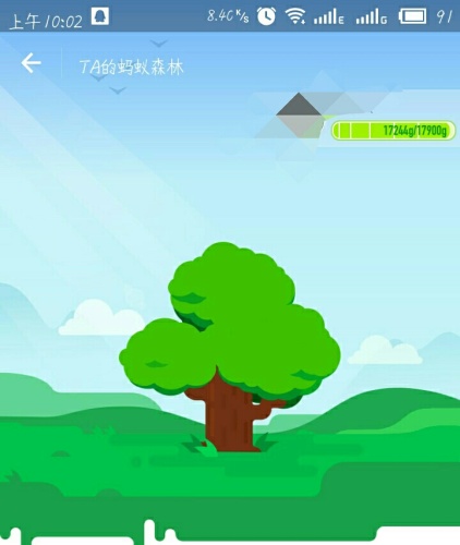 蚂蚁森林2号林·梭梭旅行图片 3