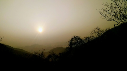 东山公园旅行图片 1