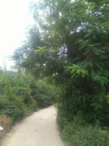 西口底水库旅游区旅行图片 2