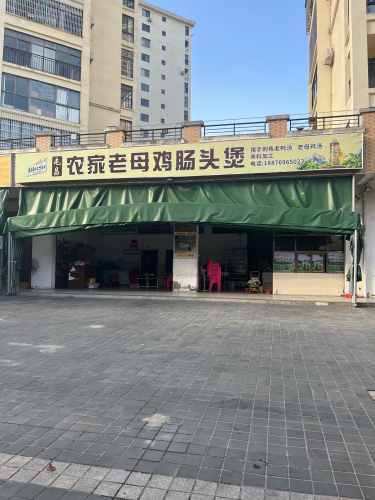屯昌屯城农家老母鸡肠头煲