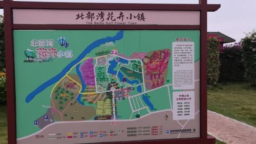 北部湾花卉中心广场旅行图片 2