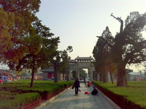 孔子生迹园旅行图片 3