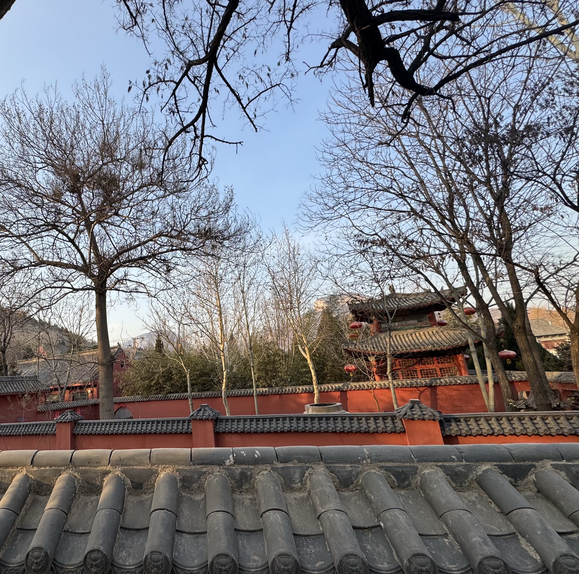 极乐寺实景照片