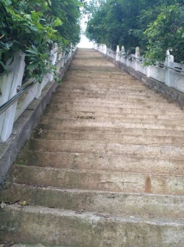 重阳寺旅行图片 1