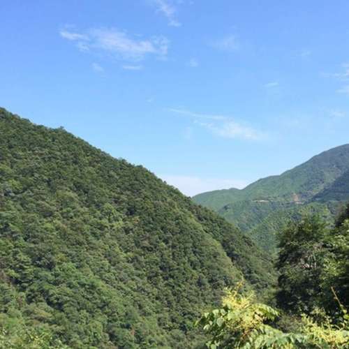 龙王山旅行图片 3