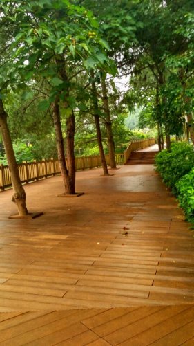 金鸡寨公园旅行图片 1