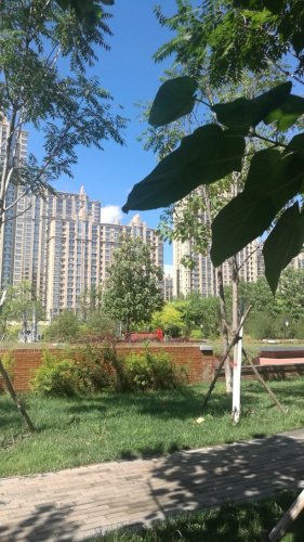 双金公园旅行图片 3