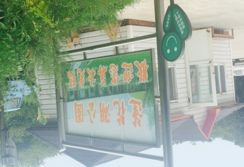 莲花湖公园旅行图片 1
