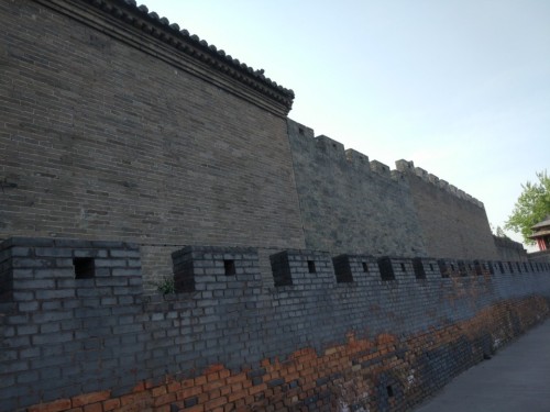 泽苑旅行图片 2