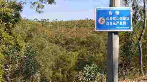 五华天云岭森林公园旅行图片 1