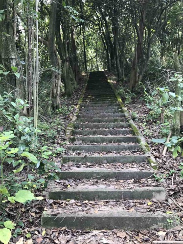 爱丽丝仙境(情人坞)旅行图片 3