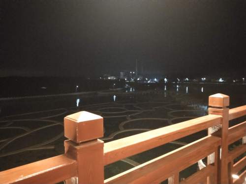 金光农场农业公园旅行图片 1