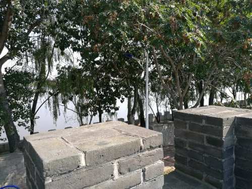 辽河广场旅行图片 3