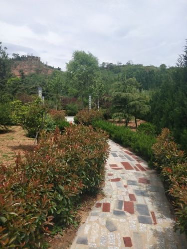 绛县生态公园旅行图片 1
