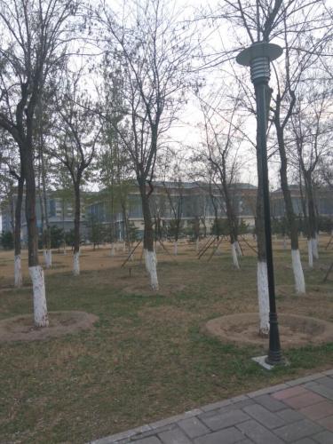 良乡大学城公园旅行图片 1