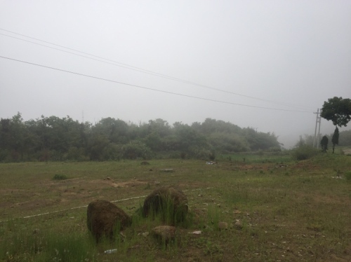福鼎店下樟民寺旅行图片 3