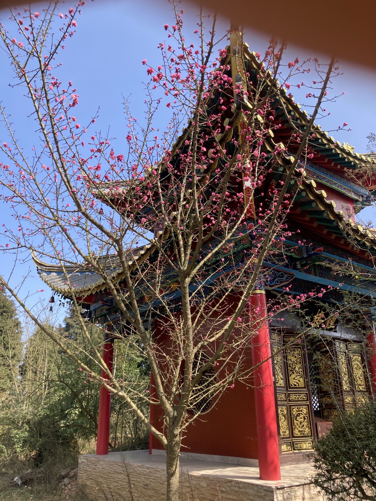 圭山寺实景照片
