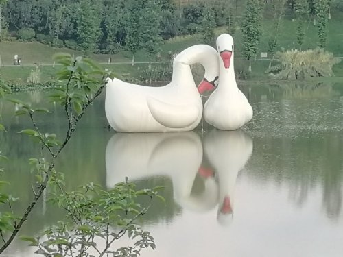 俊发·黑石湿地公园旅行图片 1