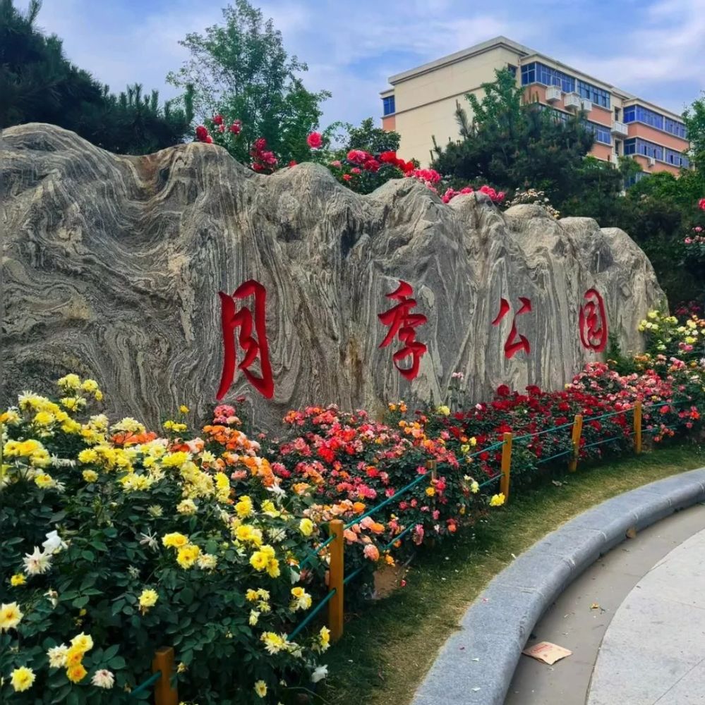 郑州市月季公园景点图片