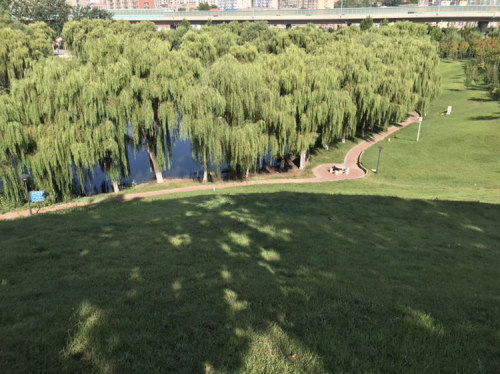 情人坡旅行图片 1