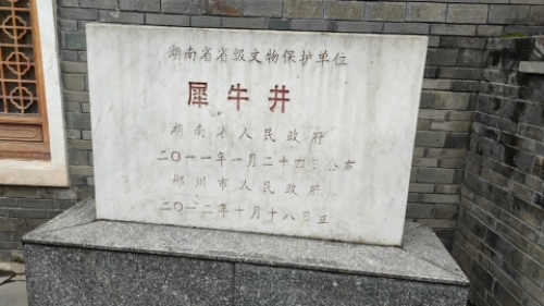 犀牛井旅行图片 2