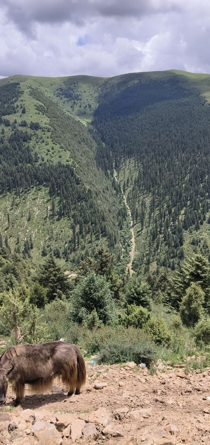科罗洞寺实景照片