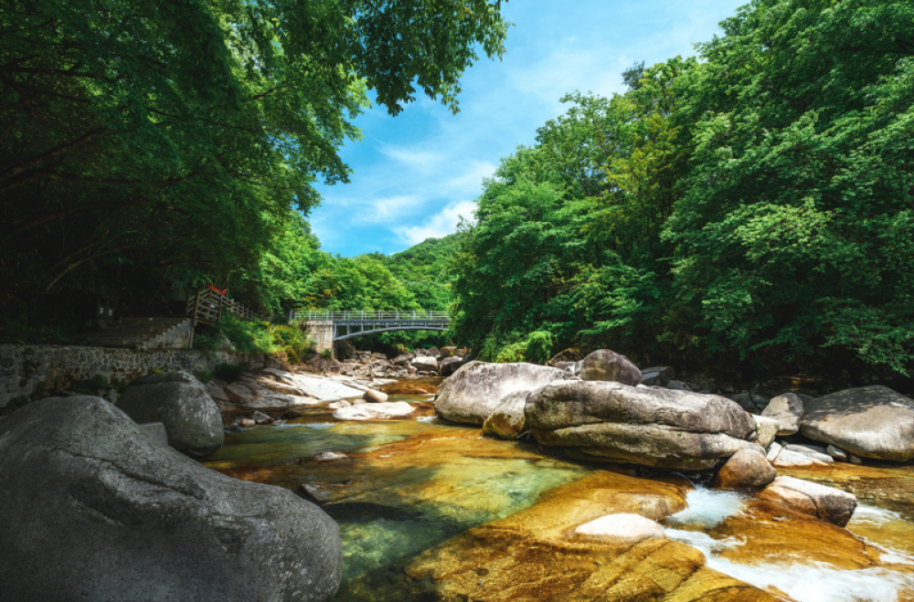 米仓山国家森林公园景点图片