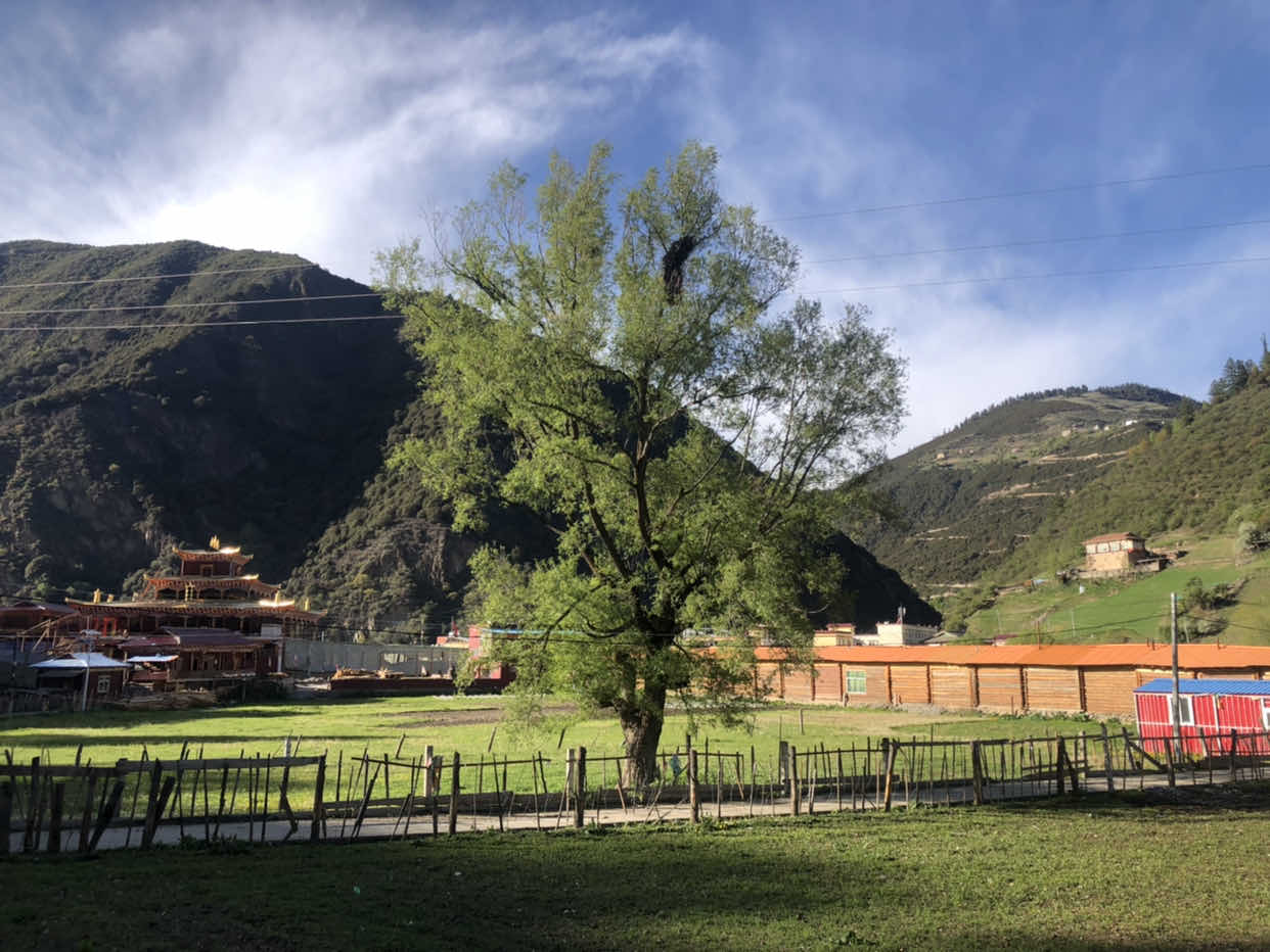 旺通寺实景照片