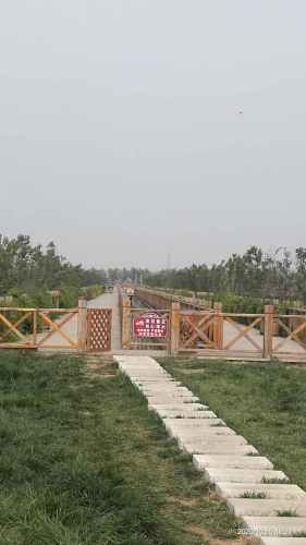 双街花卉博览园旅行图片 3