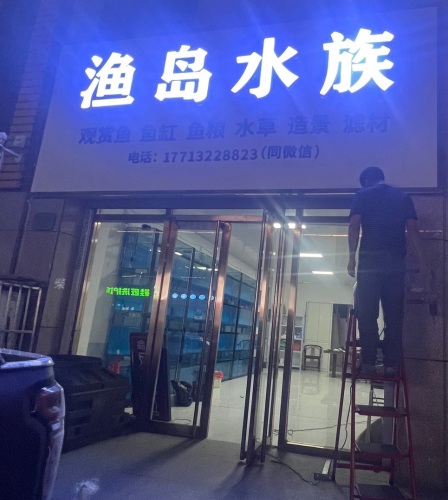定州渔岛水族(缔景城店)