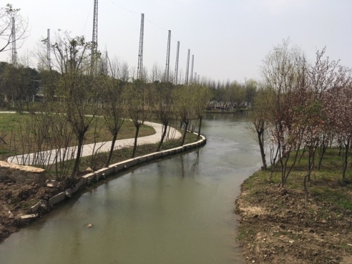 申亚生态林旅行图片 2