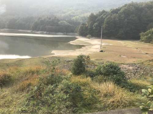天井山森林公园旅行图片 3
