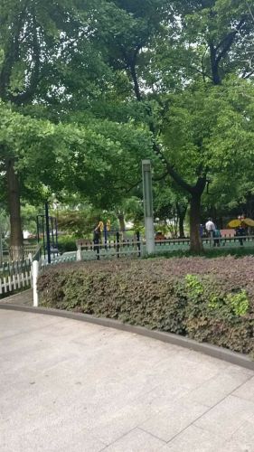 时代公园旅行图片 1