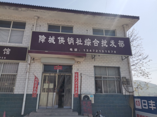 障城供销社百货店