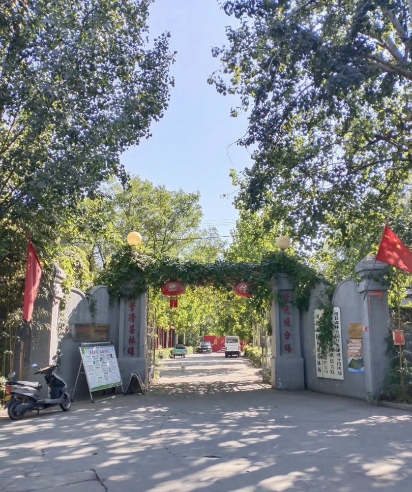 滑县森林公园景点图片