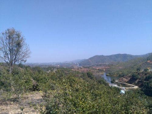 连江森林公园旅行图片 3