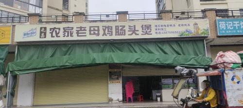 屯昌屯城农家老母鸡肠头煲