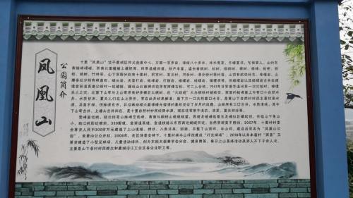凤凰山休闲乐园旅行图片 1