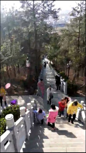 青峰山森林公园旅行图片 2