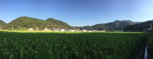 燕诒楼旅行图片 2