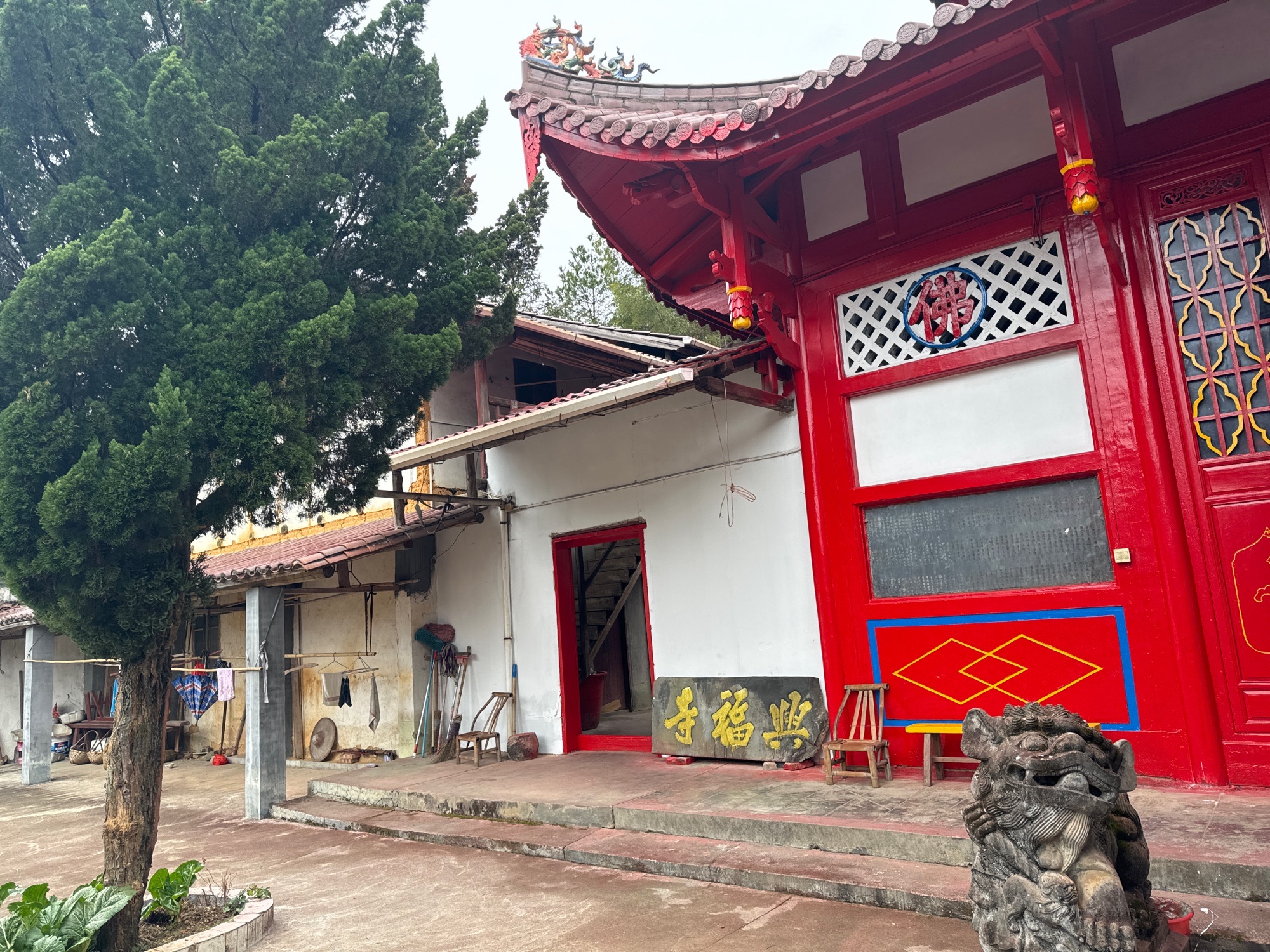 兴福寺实景照片