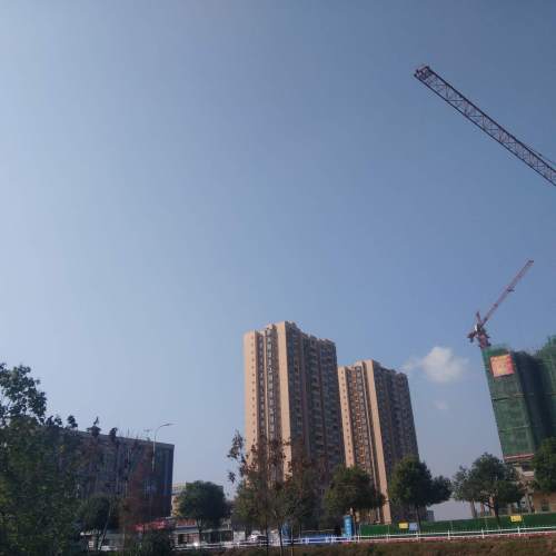 珞璜人民广场旅行图片 3